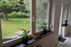 Bild-aus-dem-Fenster-bei-der-Couch