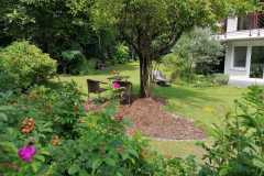 Blick-in-den-Garten-hinter-den-Rosen